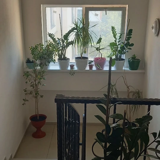 Chișinău, Botanica, Str. Liuba Dumitriu 1 object.rent_appartment_with_one_room